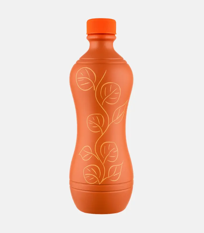 Terracotta Water Bottle